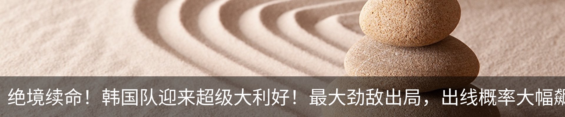 资讯动态